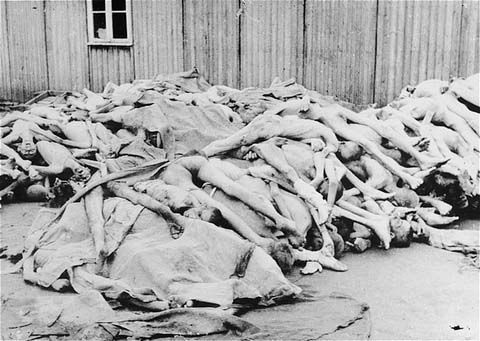 180 corpses in the Mauthausen Russian Camp